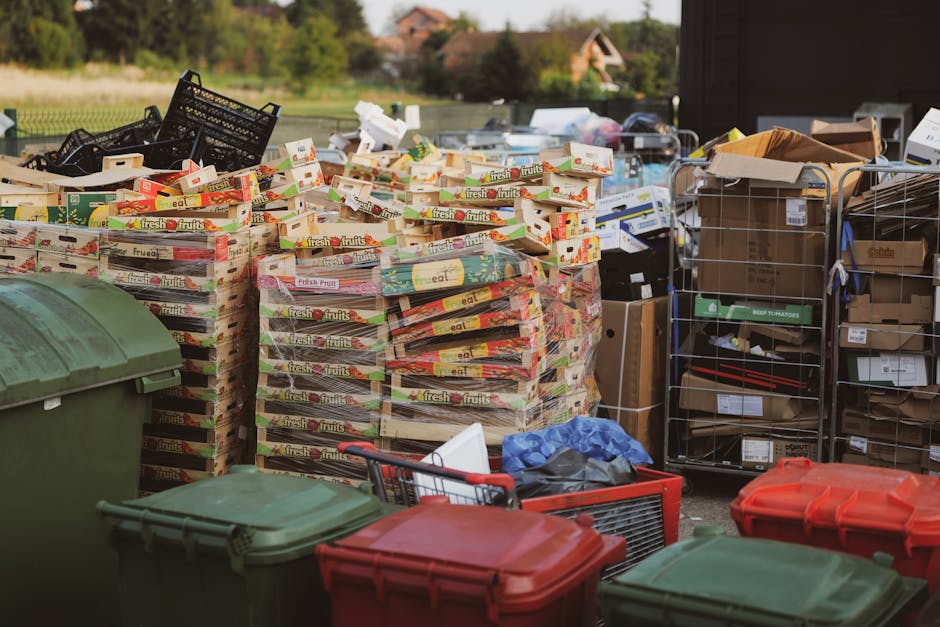 A large outdoor area during daytime displays multiple stacks of cardboard produce boxes, primarily cardboard with colorful printed labels advertising fresh fruits, arranged in an orderly manner. In th